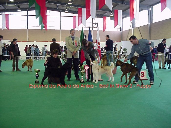 9� Int. V. Franca de Xira - 17 de Fevereiro 2002 - R BIS
